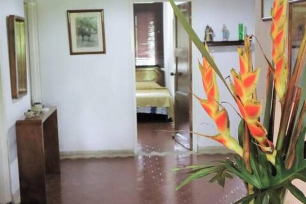 Finca cerca a Cali - Pura Naturaleza - El Carmen, Colombia - 3