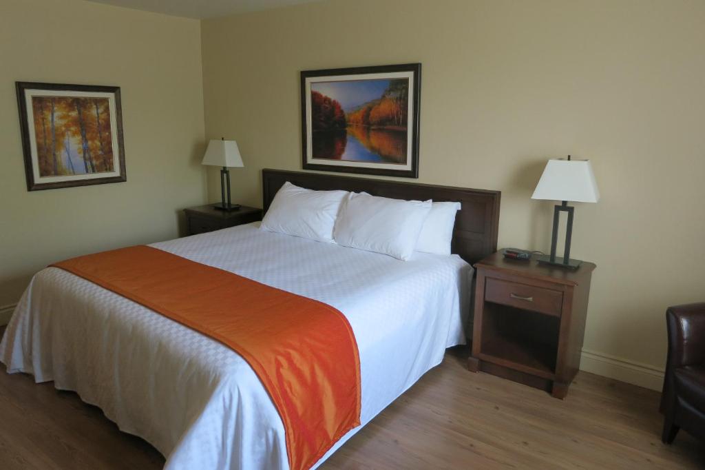 Days Inn by Wyndham Levis photo