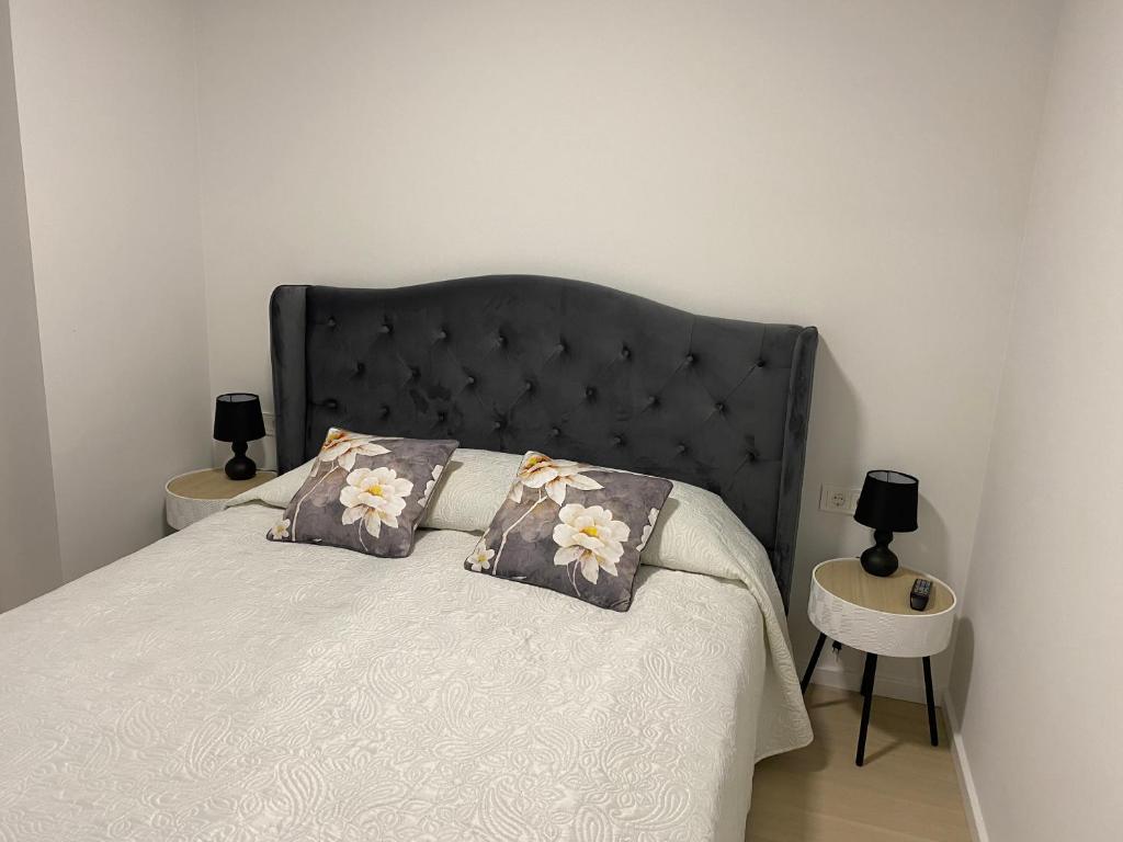 Lafa Vanagupės apartamentai, Palanga