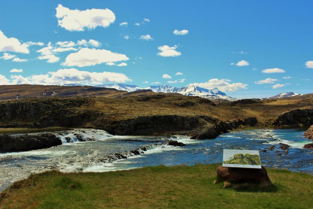 Surrounding environment