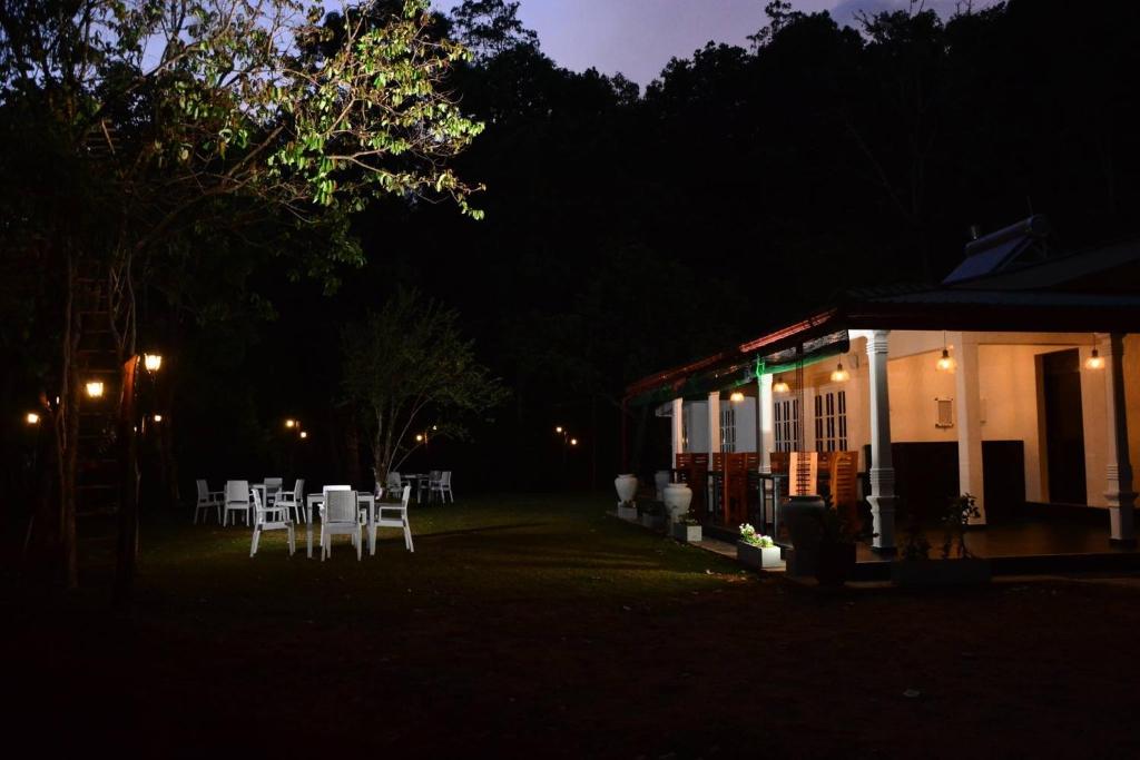 이글 윙스 홀리데이