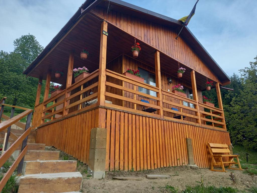 Casa Geanina 전경