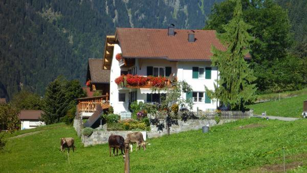 Haus Vallaster - 2