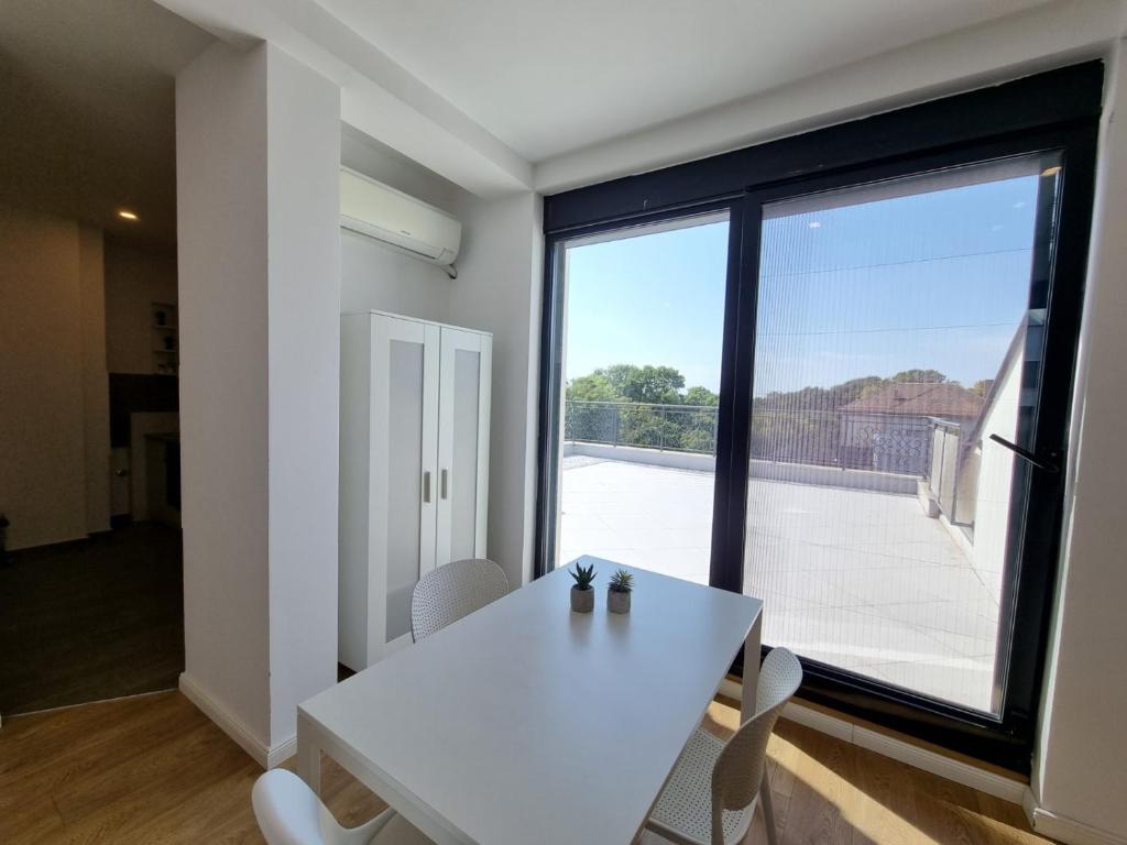 Janis Janulis 22 - 4