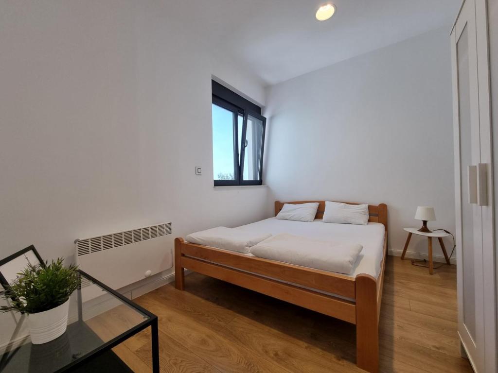 Janis Janulis 22 - 5