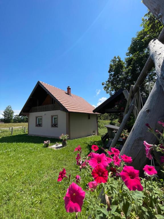 Vikendica Jovanovic, Bajina Bašta