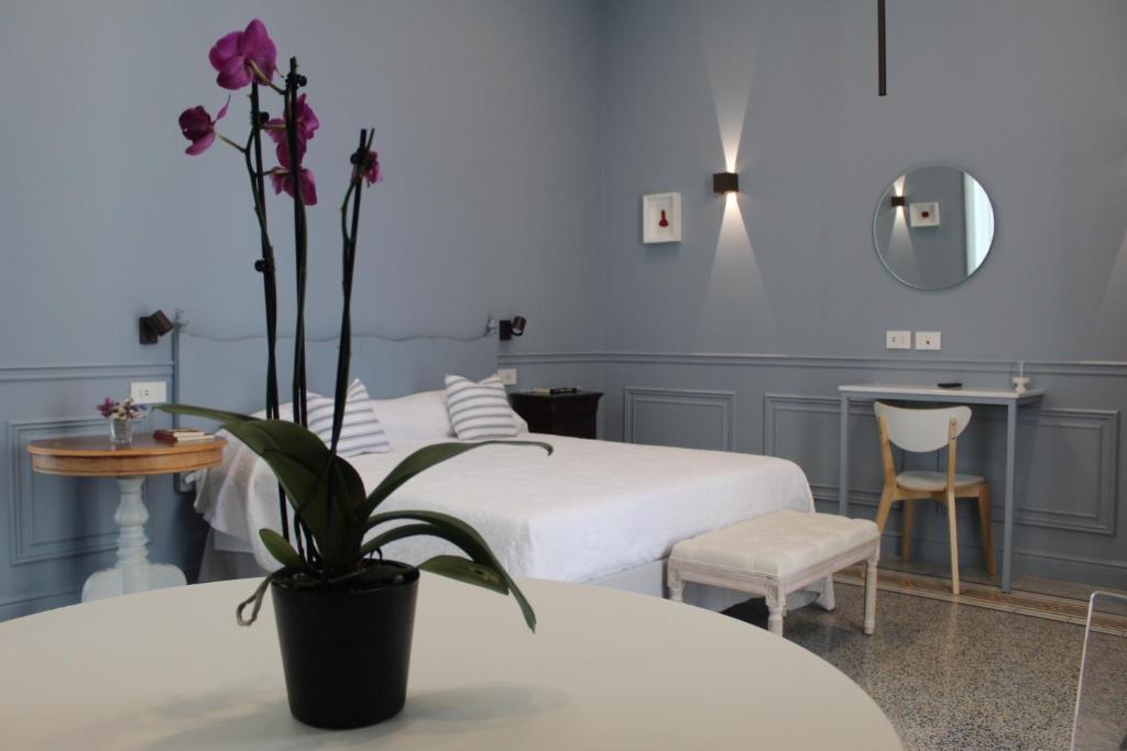 Maccus Suite, Neapol