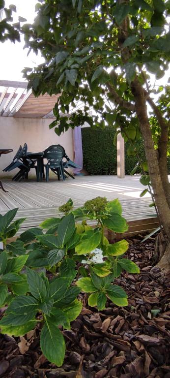 BERCK Maison de vacances avec terrasse et jardin, - 4