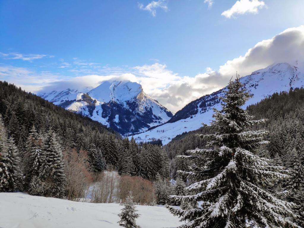Chalet Sophia - 3