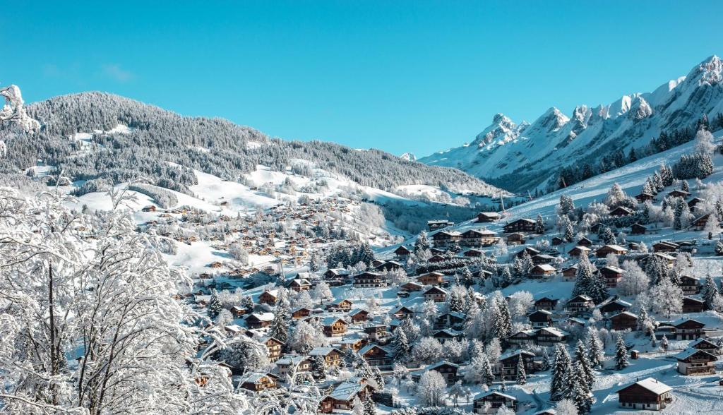 Chalet Sophia - 2