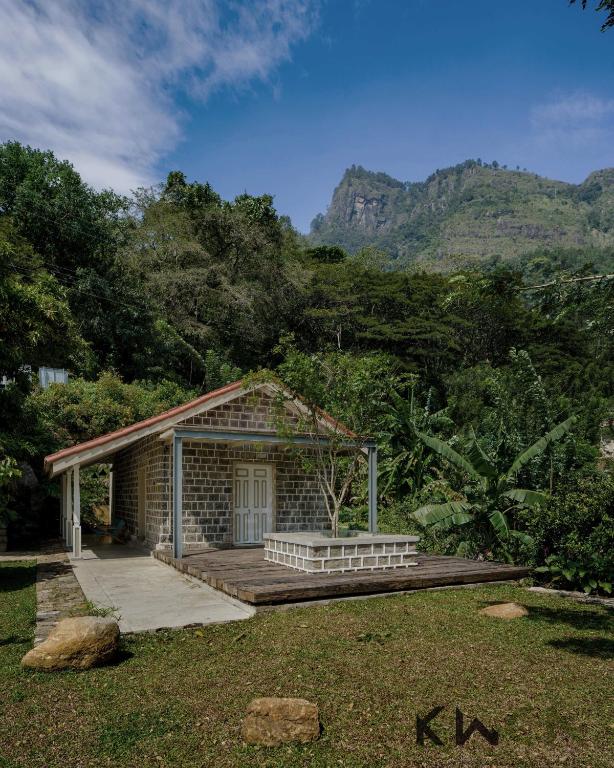 Tranquilla, Nikapota