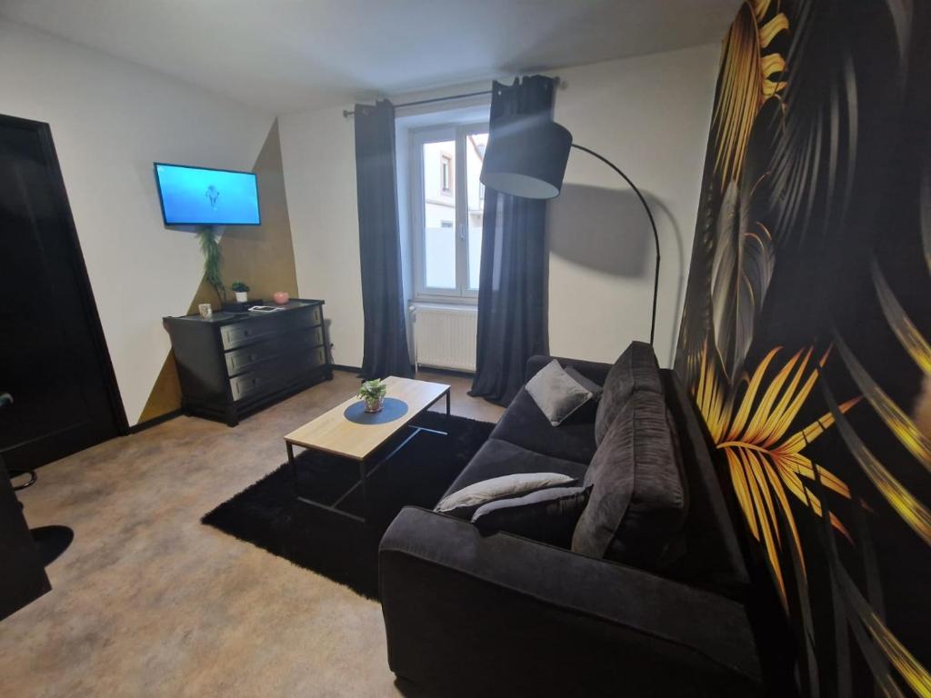 Appartement spacieux MULHOUSE - 5