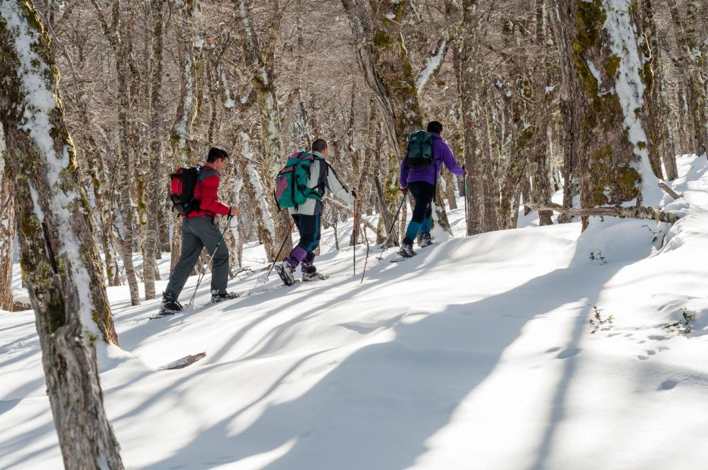 Surrounding environment