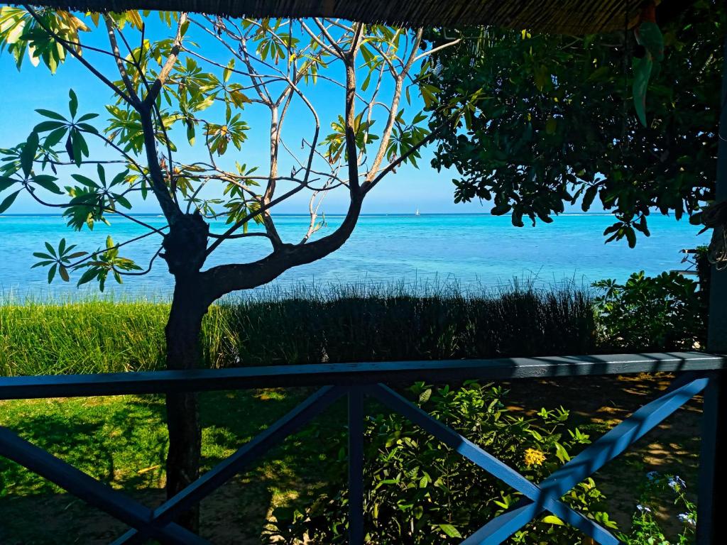 MOOREA - Fare Taina Iti, Haapiti