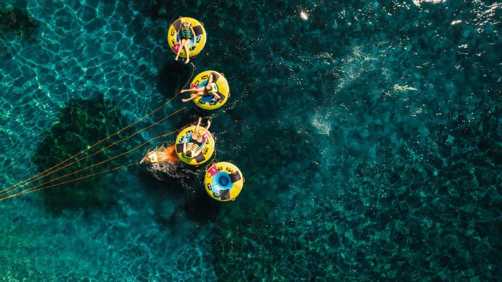 アクティビティ