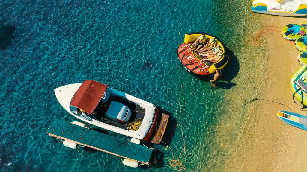 アクティビティ