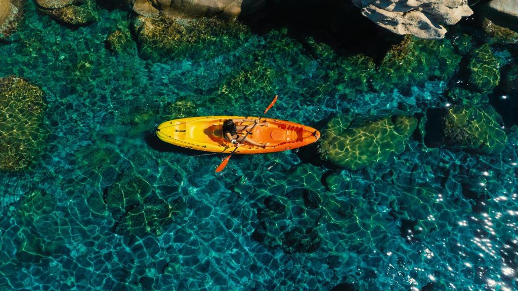 アクティビティ