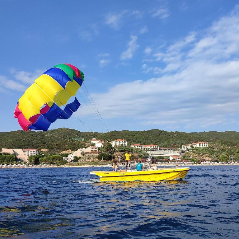 アクティビティ