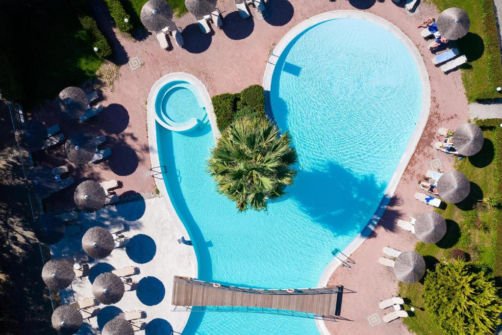 スイミングプール