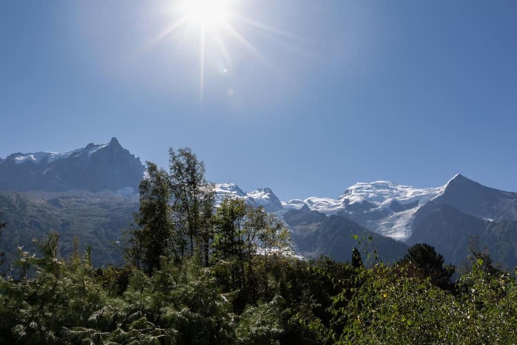 Modern apartment with the best Mont Blanc view! - 2