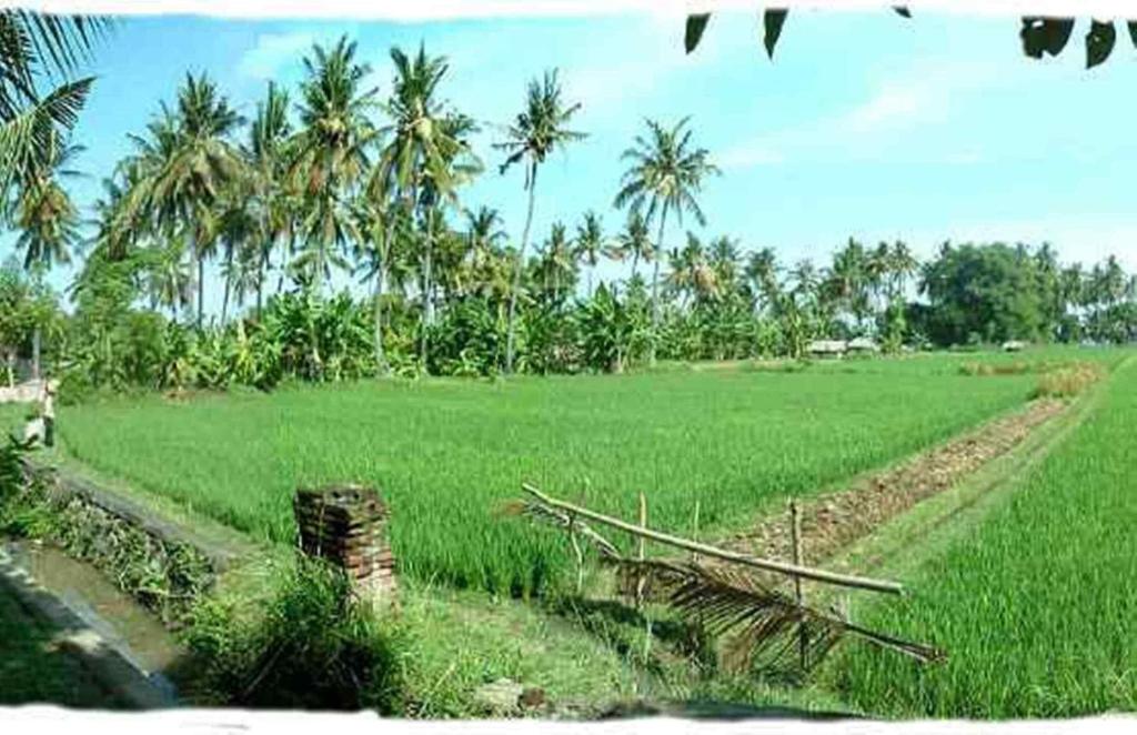 Surrounding environment