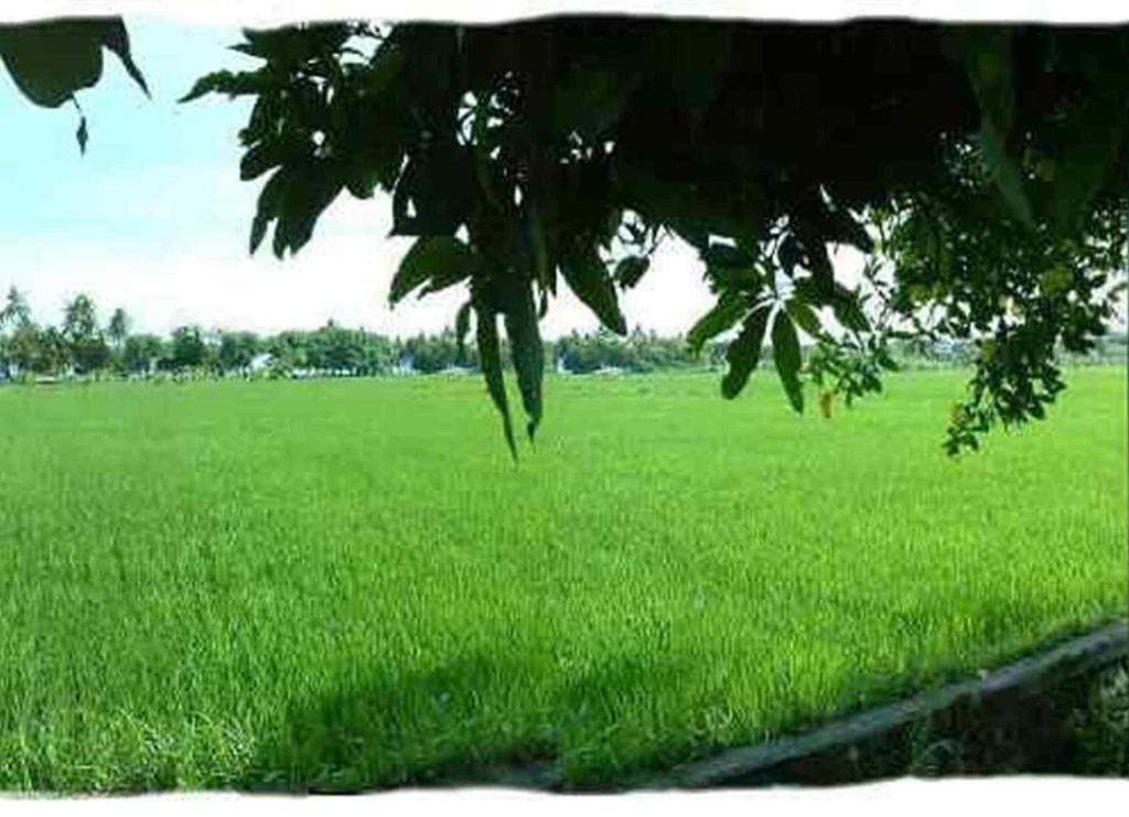 Surrounding environment