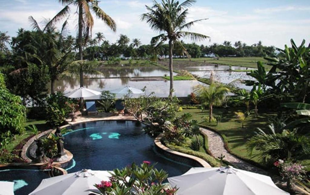Sawah Lovina — Hotel in Bali