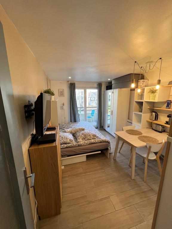 STUDIO COSY STRASBOURG CENTRE TRAM - 4