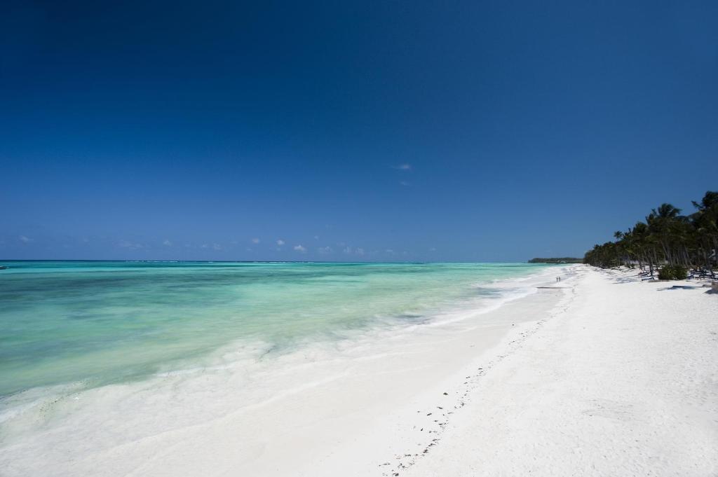 Karafuu Beach Resort and Spa photo