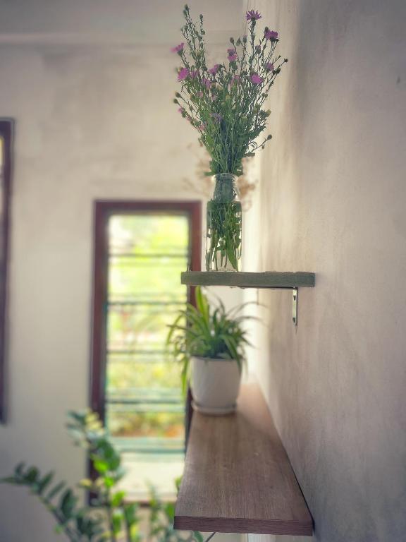 Shine Riverside Homestay