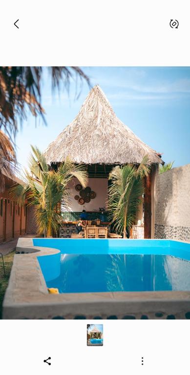 IGUANA HOUSE - 3