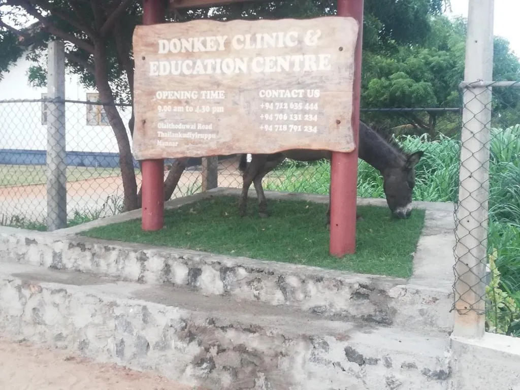 Donkey clinic and education center, hotel in Mannar