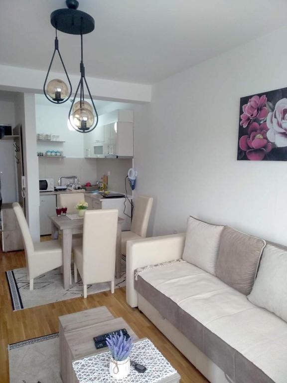 Apartman Filipović Vrnjačka Banja - 3