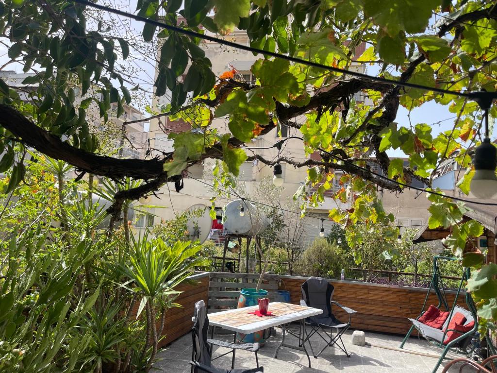 Prickly Pear Corner, Tirana