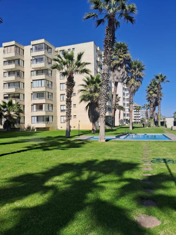 Palmar vista al mar - 4