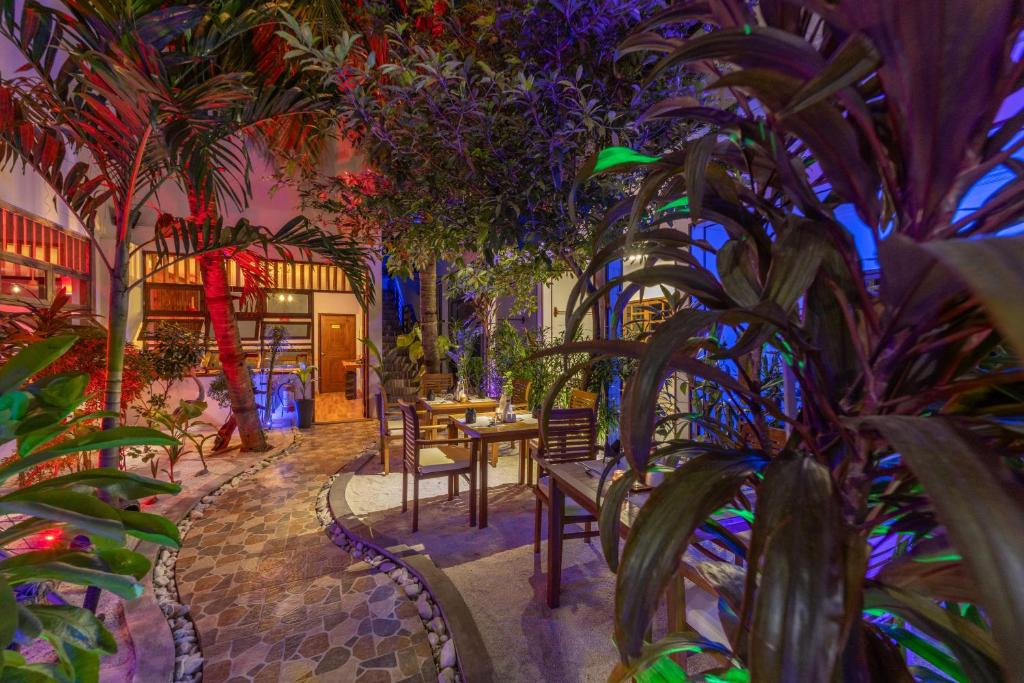 カマドゥー イン (Kamadhoo Inn) 館内設備