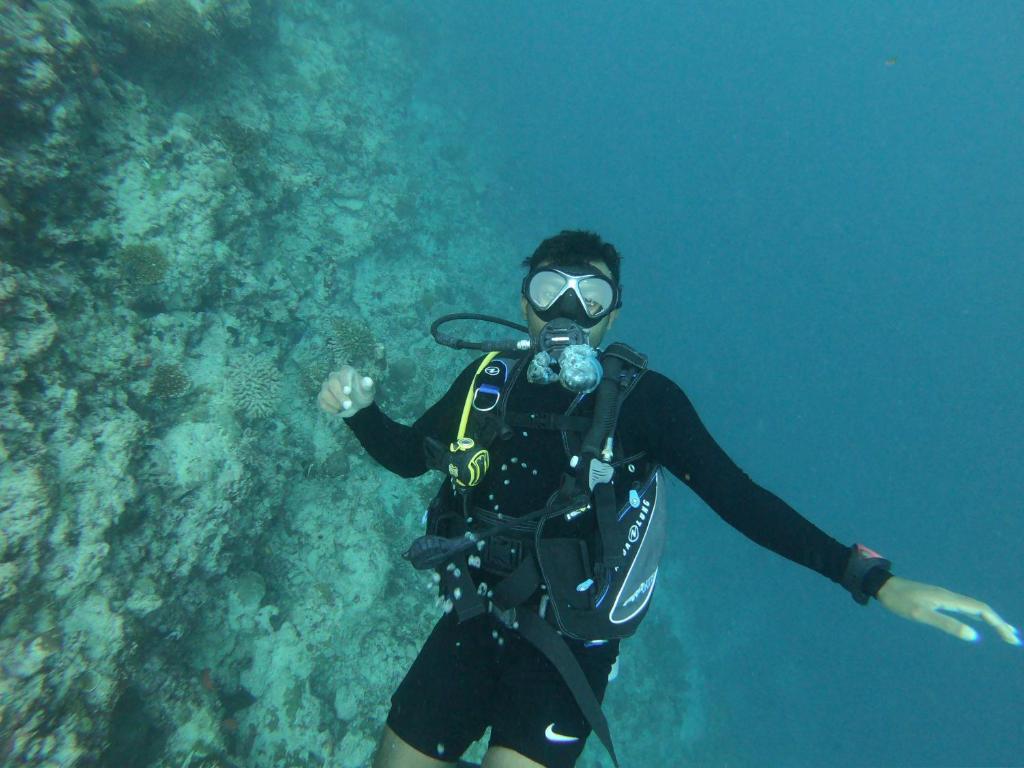 アクティビティ