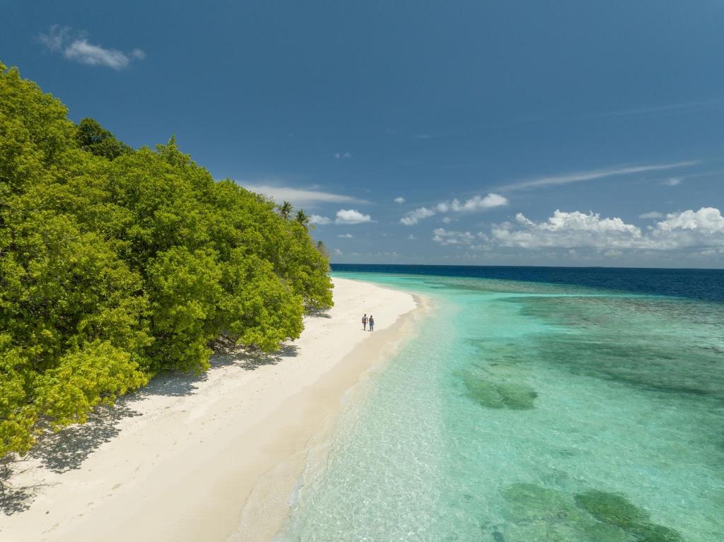 周辺観光スポット