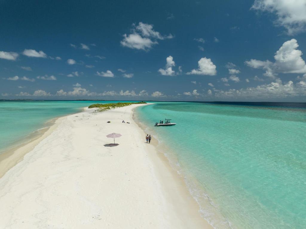 周辺観光スポット