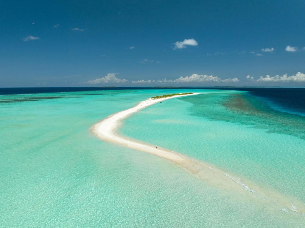 周辺観光スポット