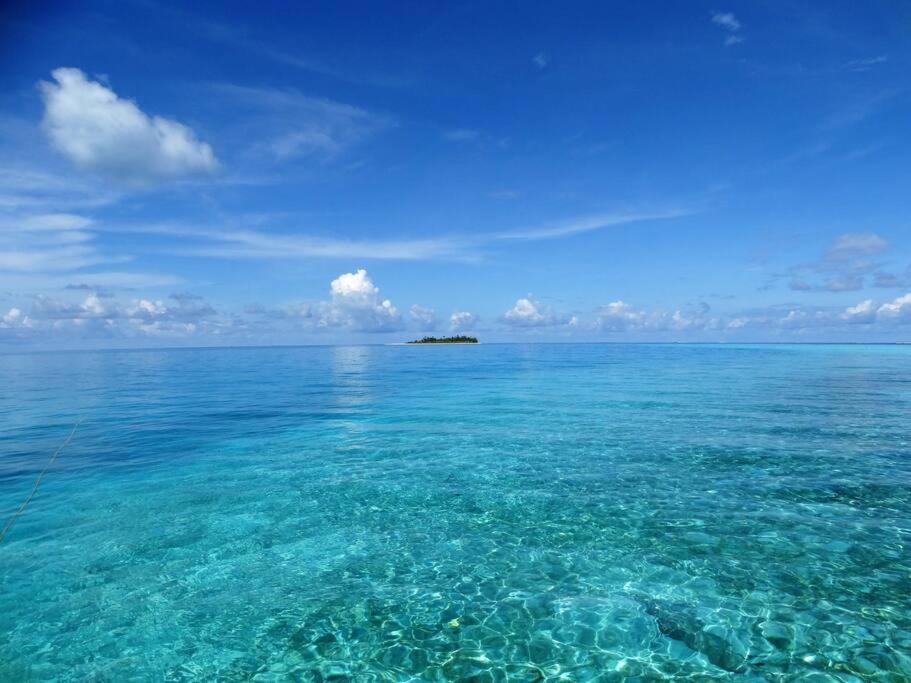 周辺観光スポット