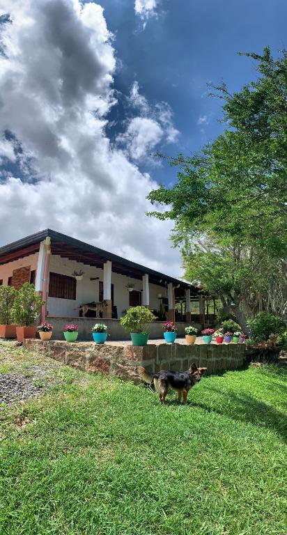 Villa tolu - 3