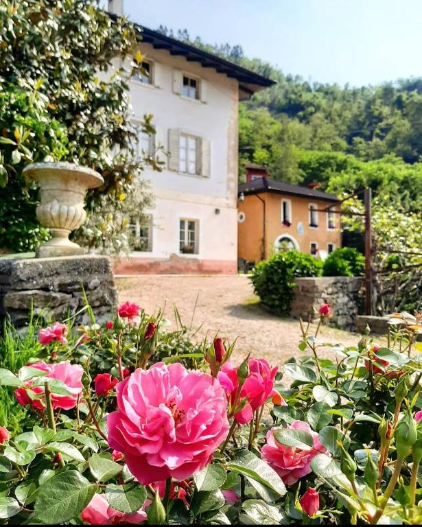 Agritur Cantina Romanese - 1