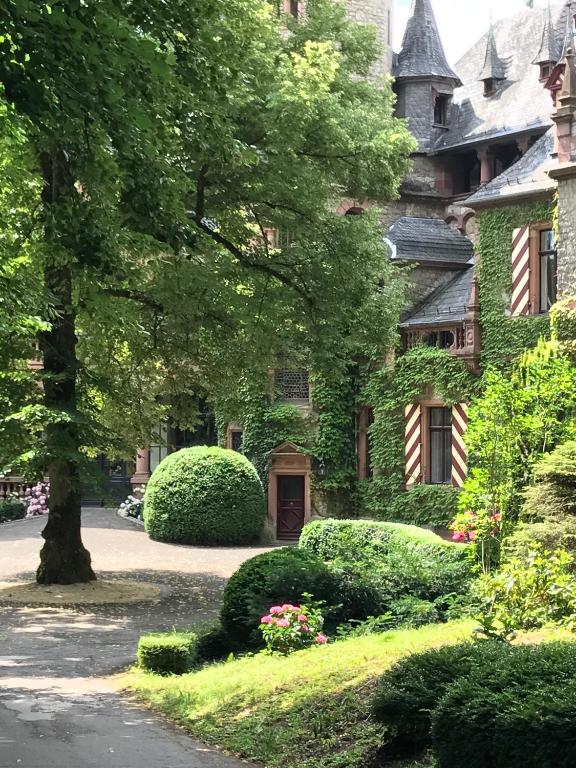 Schloss Langenzell, Grafensuite