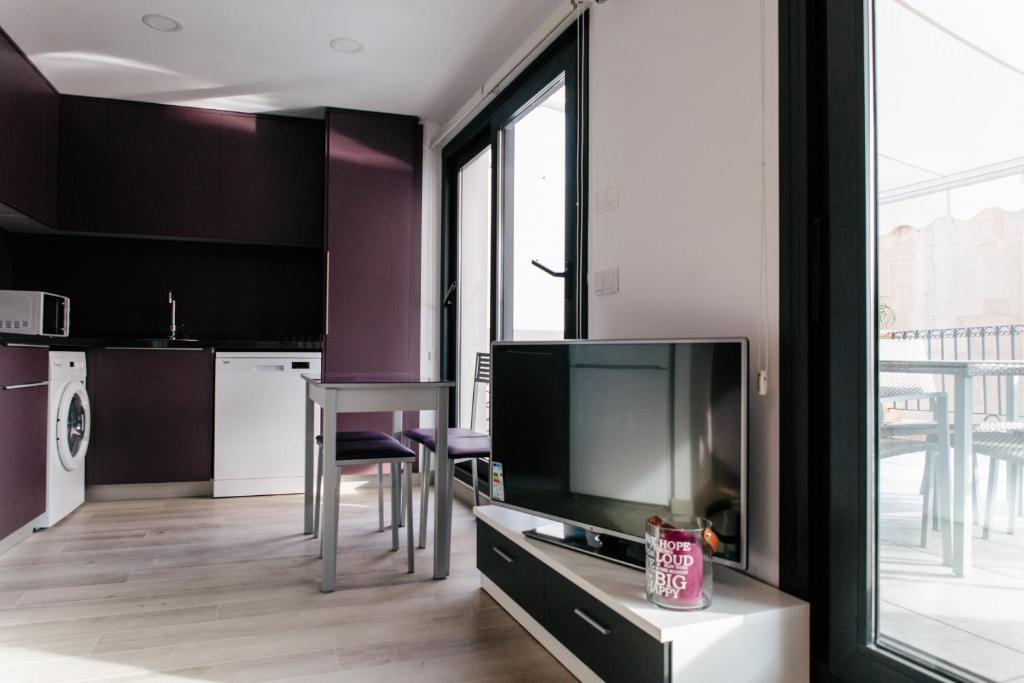 Penthouse Apartment with Terrace 