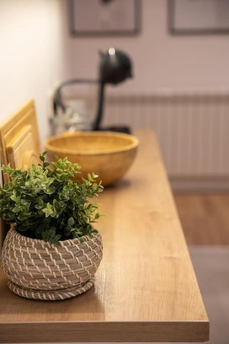 Beautiful salon apartment 140sqm - 4