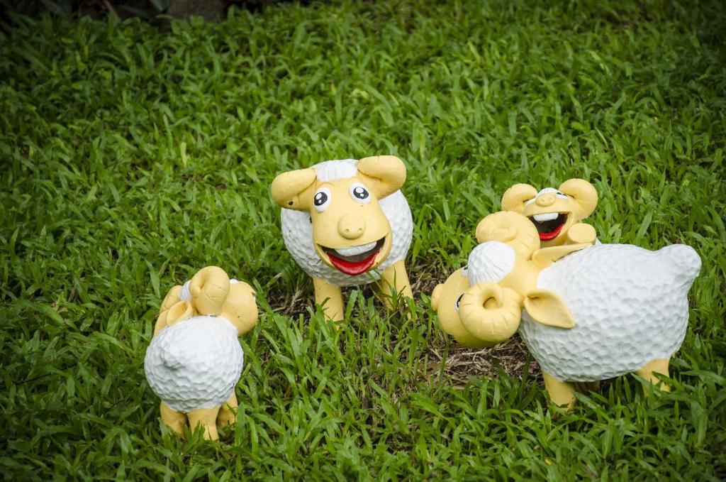 บริการและสิ่งอำนวยความสะดวก