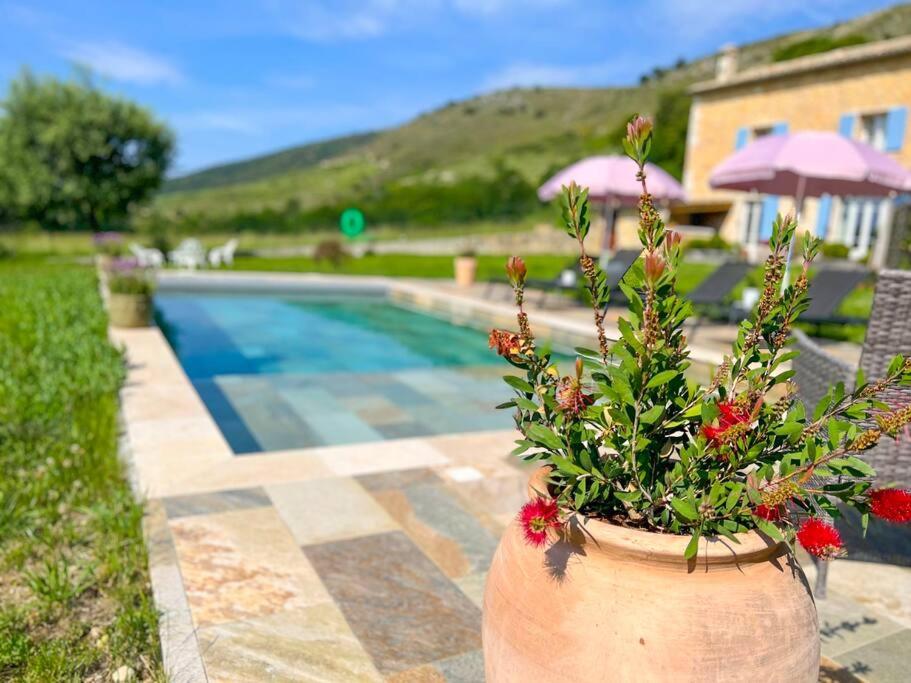 Mas provençal avec piscine - 5