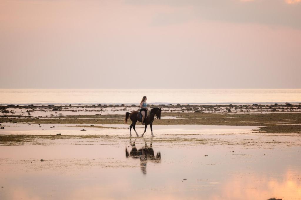 Reiten