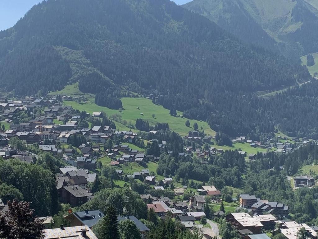 Appartement 2 Pièces à Châtel - 4 Pers, Terrasse, 500m des Remontées, Parking, Connexion Internet - FR-1-676-61 - 2